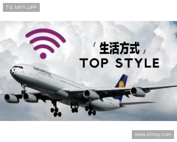 民用飞机飞行计划的空中气象信息