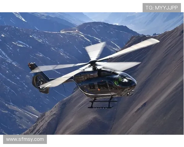 直升机桨叶的载荷实时监测
